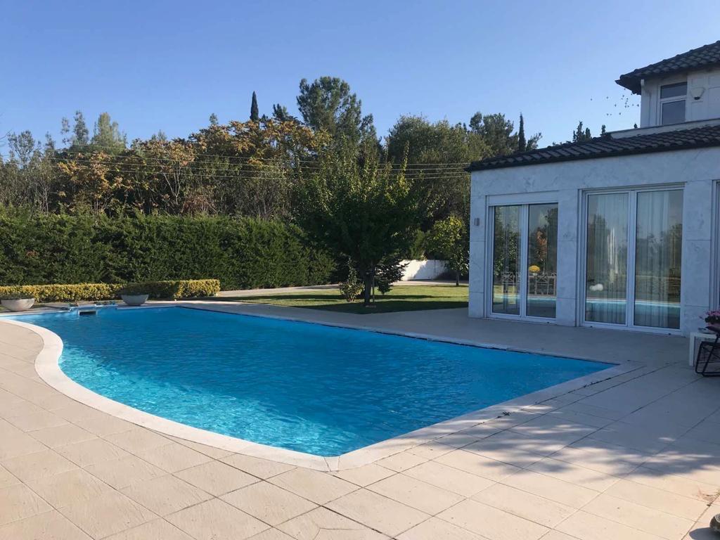 Dynamic Content Image